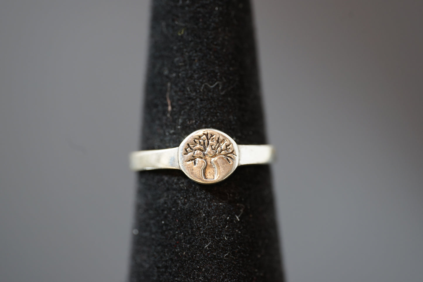 Engraved Tree In Silver Signet Ring