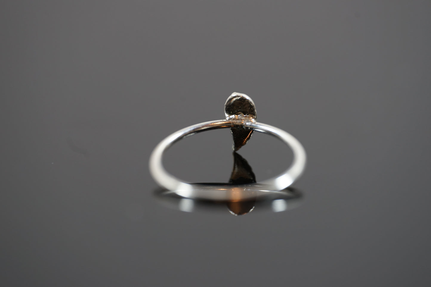 Silver Wing Ring